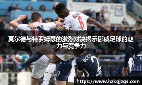 leyu乐鱼手机下载
